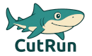 Runner Logo